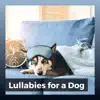 Pet Care Music Therapy - Lullabies for a Dog